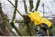 Ножиці садові - секатор акумуляторний STANLEY FATMAX SFMCPP32M1 SFMCPP32M1 фото 7