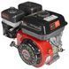 Двигун бензиновий Vitals GE 6.0-19kp 165166 фото 2