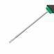 Викрутка FatMax з довжиною жала 125 мм під шліц Torx TT30 STANLEY 0-65-398 0-65-398 фото 3