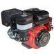 Двигун бензиновий Vitals GE 17.0-25ke 165175 фото 6