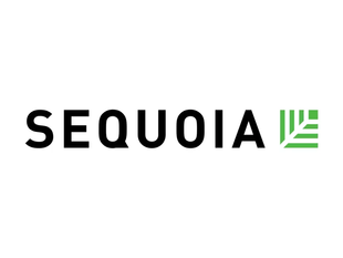 Пістолет для поливу SEQUOIA SPWSN9P SPWSN9P фото