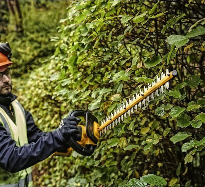 Кущоріз акумуляторний безщітковий зі штангою DeWALT DCMPH566P1 DCMPH566P1 фото